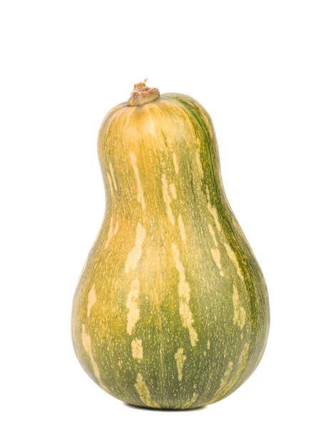 Färska orange och grön pumpa — Stockfoto