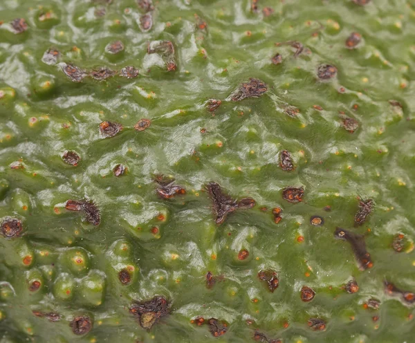 Huid van verse avocado. Close-up — Stockfoto