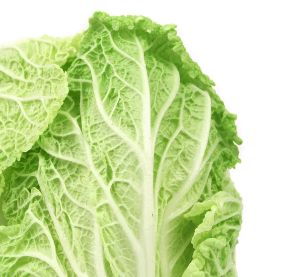 Close-up of fresh chinese cabbage — Stock Photo, Image