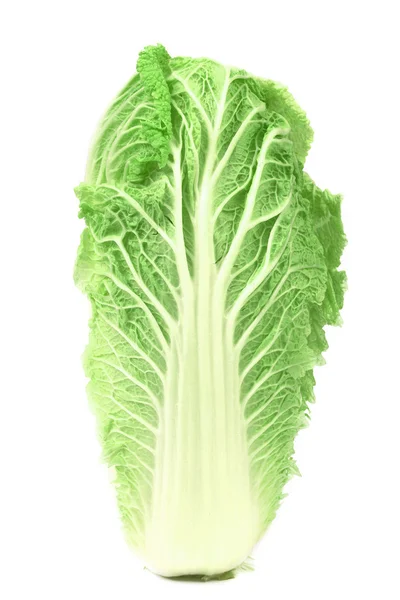 Fresh chinese cabbage — Stock Photo, Image