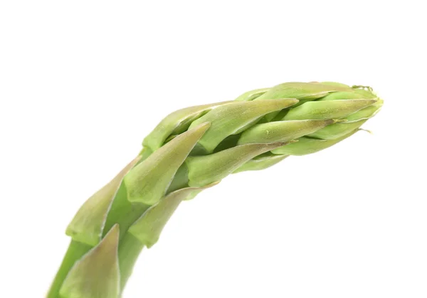 Gros plan sur la lance d'asperges fraîches — Photo