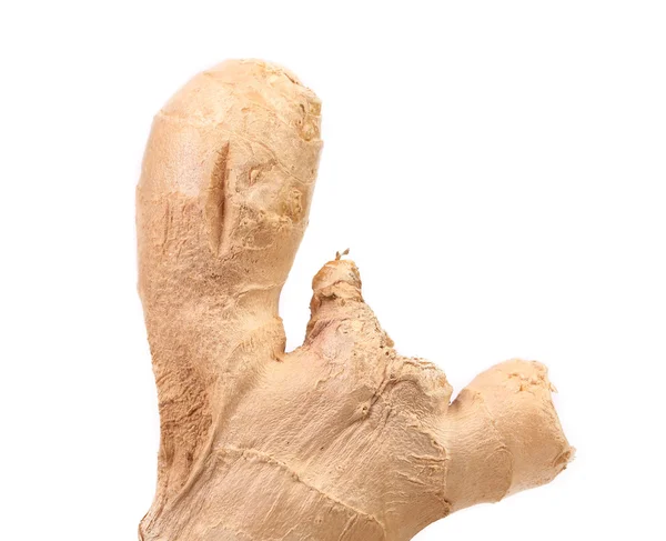 Fresh ginger root — Stock Photo, Image