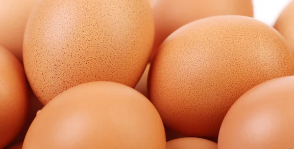 Many brown eggs — Stock Photo, Image