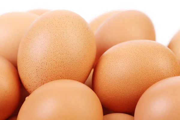 Many brown eggs — Stock Photo, Image