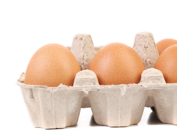 Ovos castanhos na caixa de ovos — Fotografia de Stock