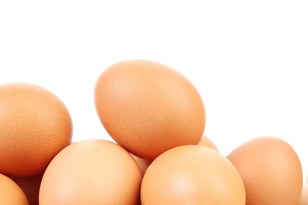 Many brown eggs — Stock Photo, Image