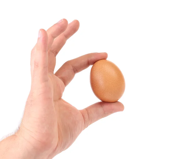 Mão segura um ovo marrom — Fotografia de Stock