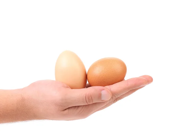 Hand holds two eggs — Stock Photo, Image