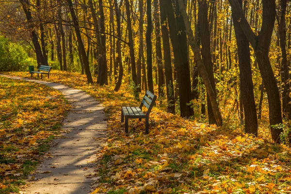 Starý chodník v podzimním parku — Stock fotografie