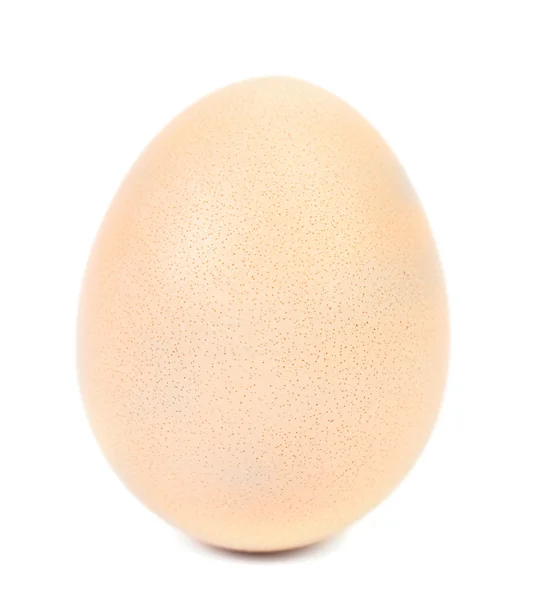 Primo piano di uovo bianco — Foto Stock