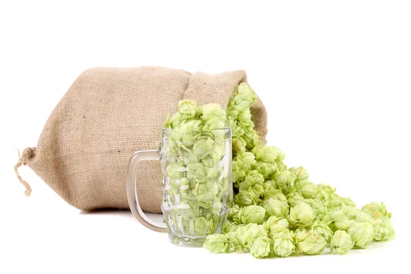 Bag and glass with green hop cones. — Stock Photo, Image