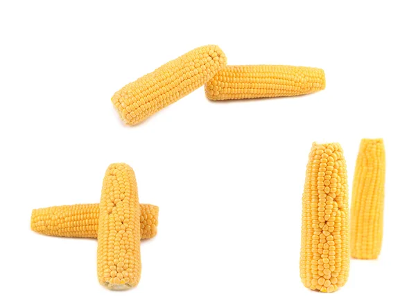 Six ripe corns — Stock Photo, Image