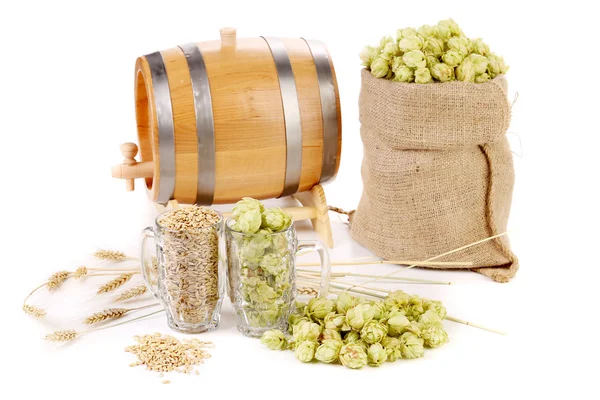 Composition of hop and barley. — Stock Photo, Image