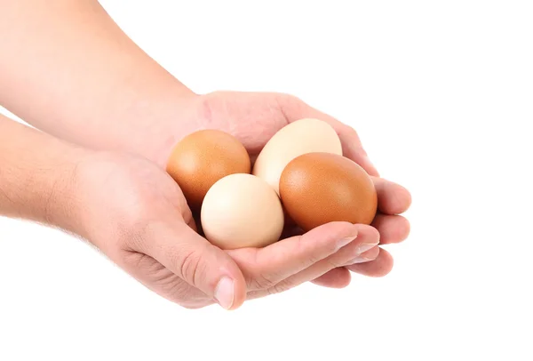 Mãos a segurar ovos castanhos . — Fotografia de Stock