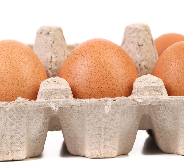 Ovos castanhos na caixa de ovos . — Fotografia de Stock