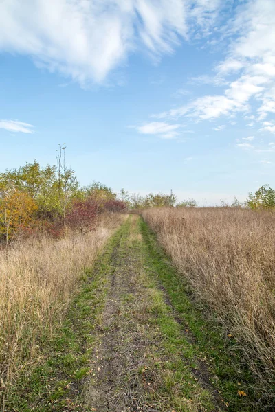 Autumn grass road in field. — Stock Photo, Image