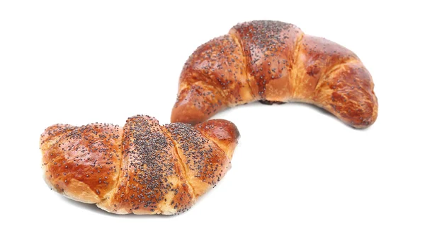 Smakelijk croissants met papaver. — Stockfoto