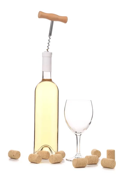 Gentle white wine composition. — Stock Photo, Image