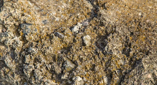 Texture of brown and green rock. — Stock Photo, Image