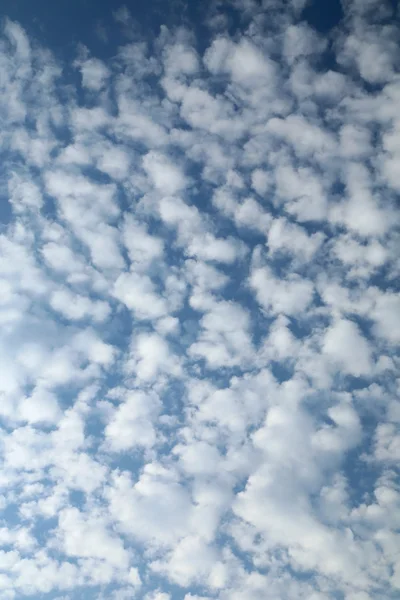 Nuvole di piume sul cielo azzurro. — Zdjęcie stockowe