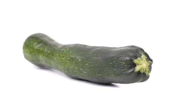 Grön grönsak märg. — Stockfoto