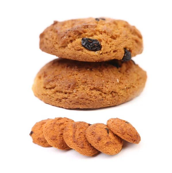 Outmeal cookie s rozinkami. — Stock fotografie