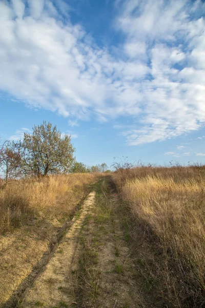 Autumn road in field to the sky. — Stock Photo, Image