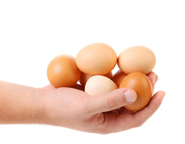 Mão segurando ovos castanhos — Fotografia de Stock