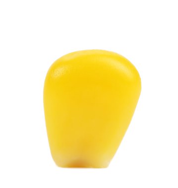 Makro çekirdek Mısır