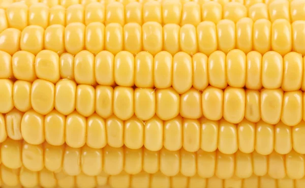 Фон зерна кукурудзи . — стокове фото