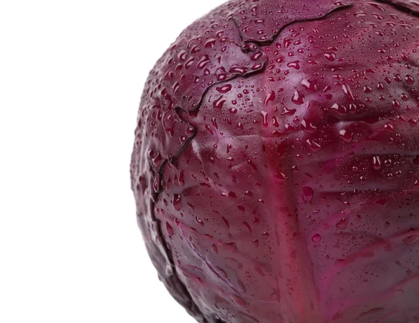 Background of fresh red cabbage — Stock Photo, Image