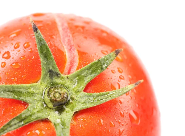 Background of tomato with water drops. — Stock Photo, Image