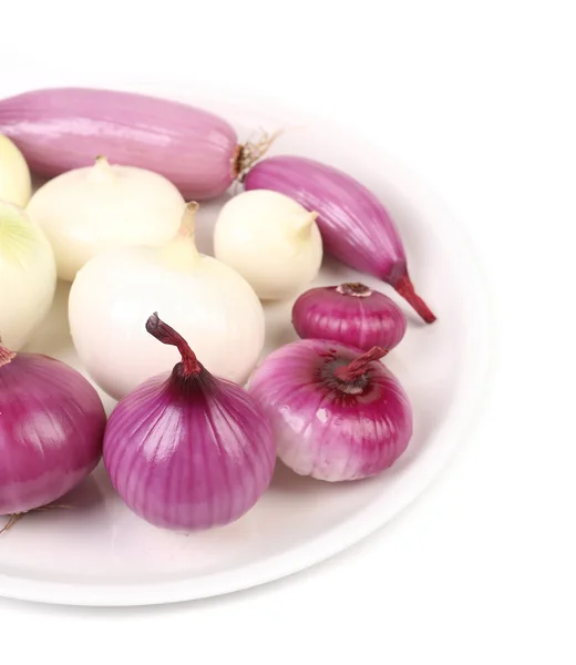 Wiew of different onions on a plate. — Stock Photo, Image