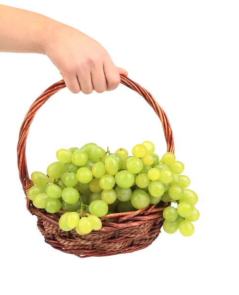 Hand holds white grapes in basket. — Stock Photo, Image