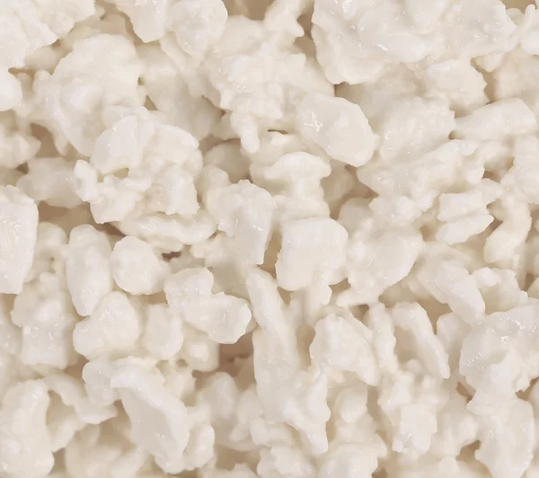 Cottage cheese close up. — Stock Photo, Image