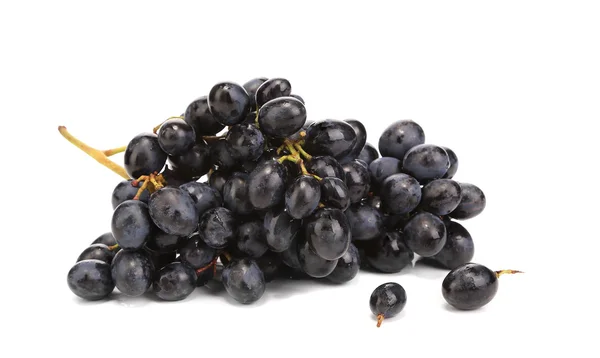 Branch of black ripe grapes. — Stock Photo, Image