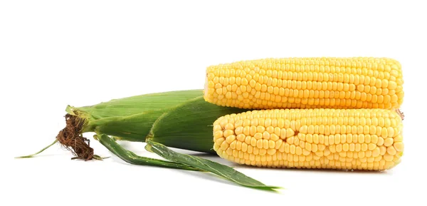 Close up van verse maïs oren. — Stockfoto
