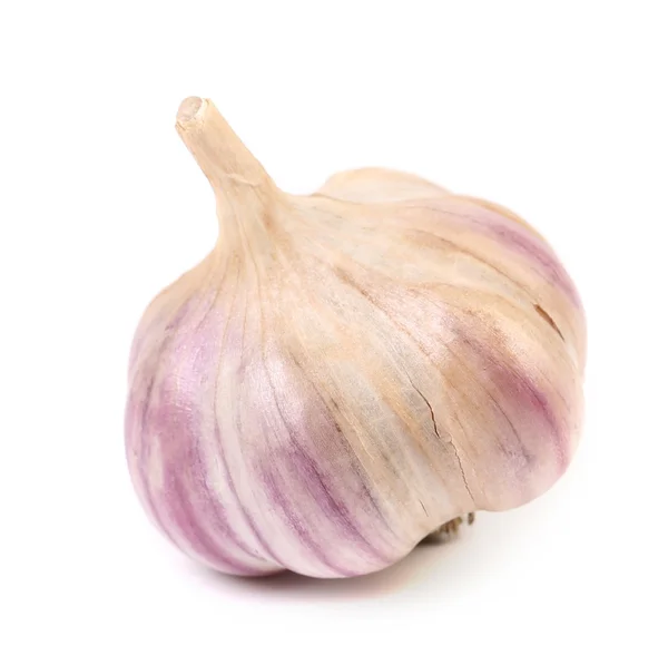 Close up of fresh garlic. — Stock Photo, Image