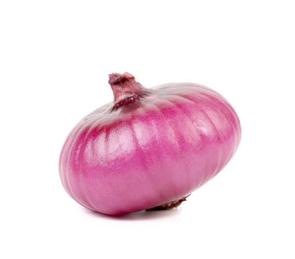 Close up of fresh red onion. — Stock Photo, Image