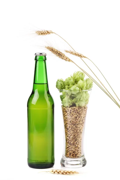Botella de cerveza y lúpulo en vaso . —  Fotos de Stock