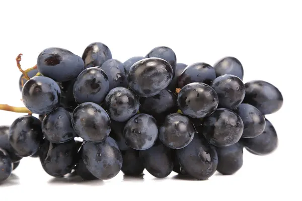 Branch of black ripe grapes. — Stock Photo, Image