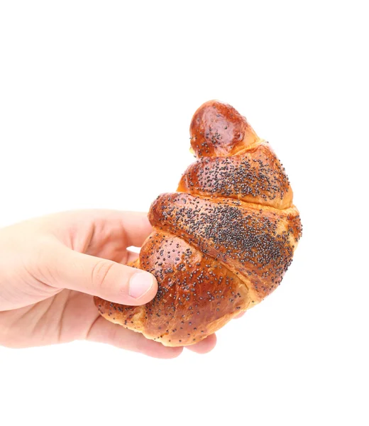 Hand holds appetizing croissant. — Stock Photo, Image