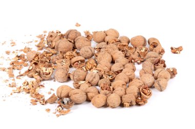 avuç ceviz bütün ve kırık.