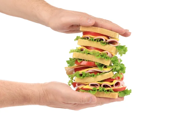 Sandwich with tomato and cheese in hands. — Stock Photo, Image