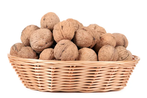 Cesta de nueces . — Foto de Stock