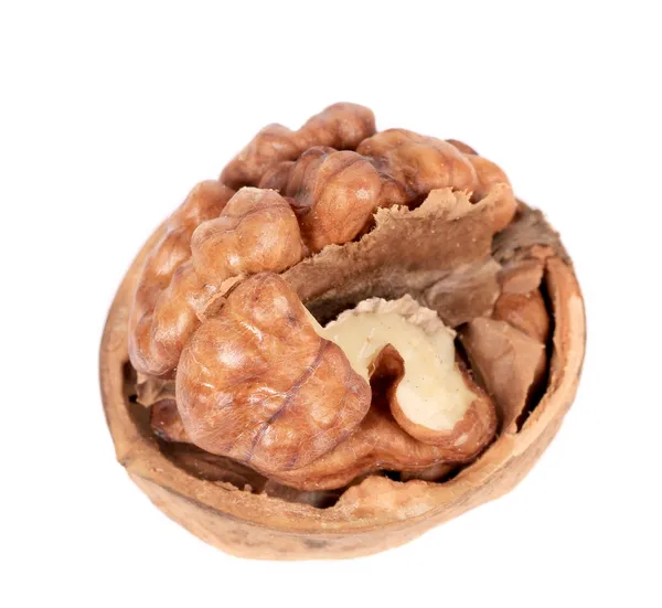 CHIUSURA DI WALNUT . — Foto Stock