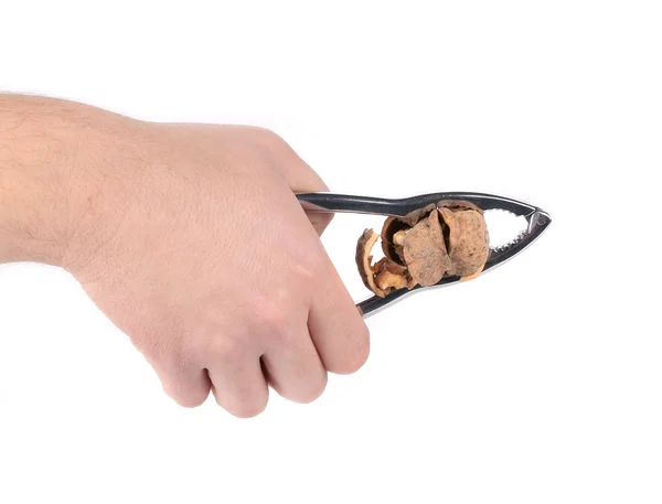 Man's hand cracking a walnut. — Stock Photo, Image