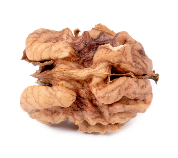 Close up of kernel walnut. — Stock Photo, Image