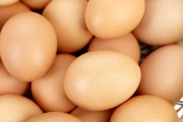 Bunch of brown eggs. — Stock Photo, Image