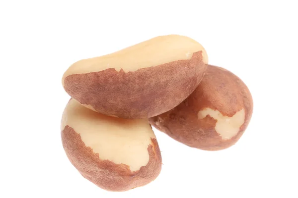 Three brazil nuts. — Stock Photo, Image